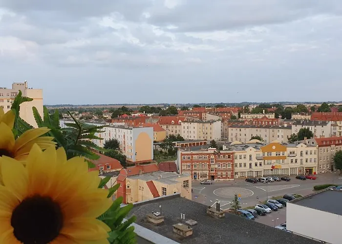 Anielki Apartamento *